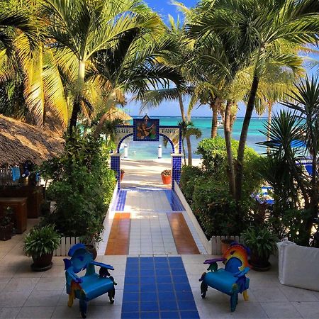 Blue Tang Inn ซานเปโดร ภายนอก รูปภาพ