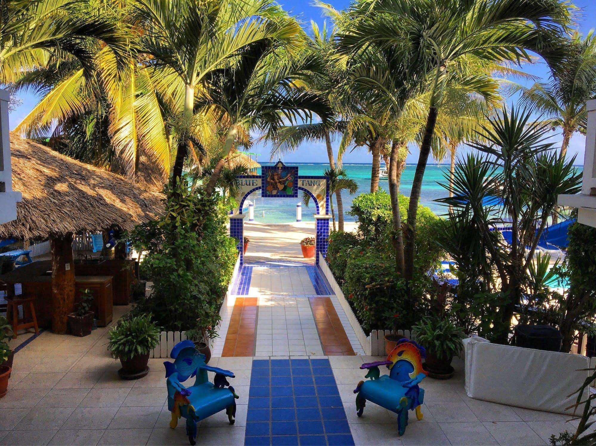 Blue Tang Inn ซานเปโดร ภายนอก รูปภาพ